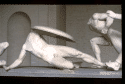 aph_XII-XIII_w.gif (9601 Byte)