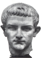 Caligula